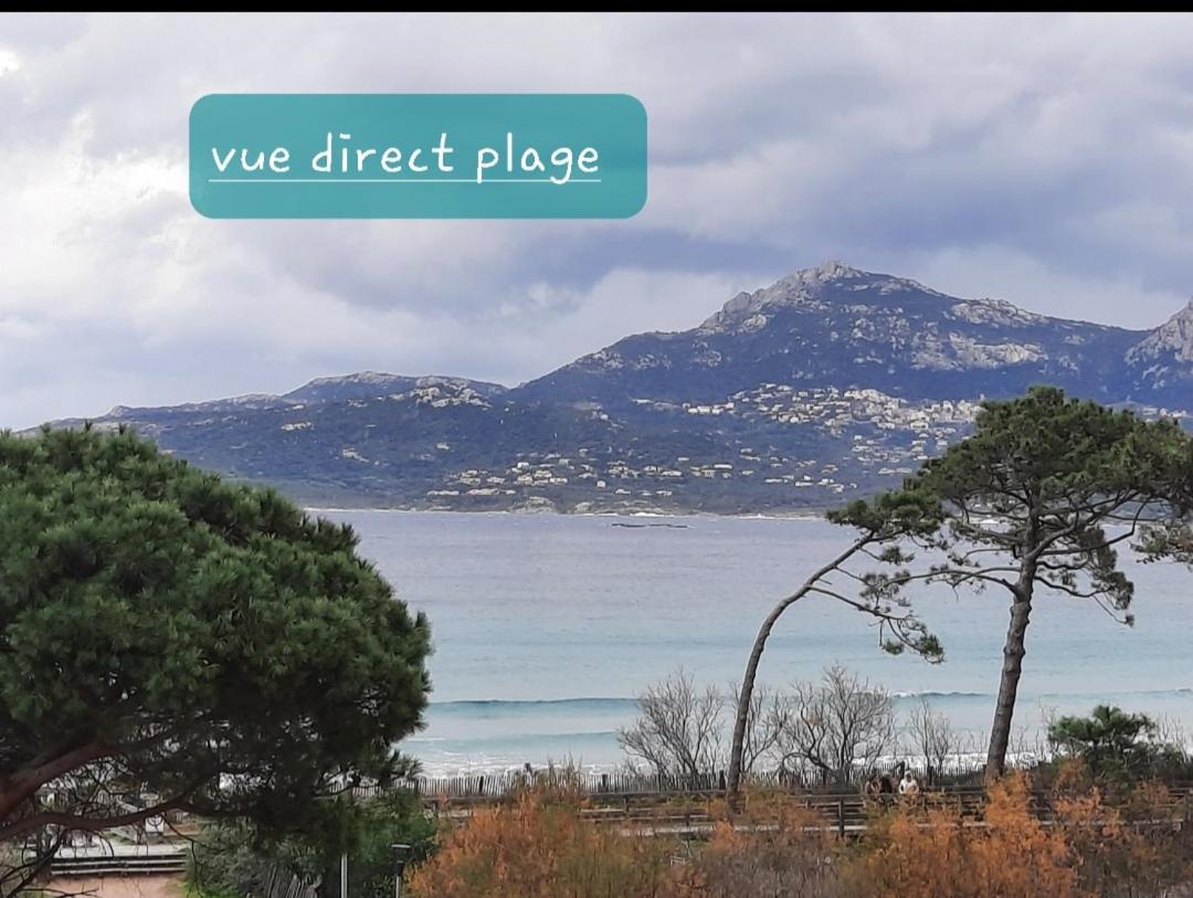 Appartement Caroline Calvi Direct