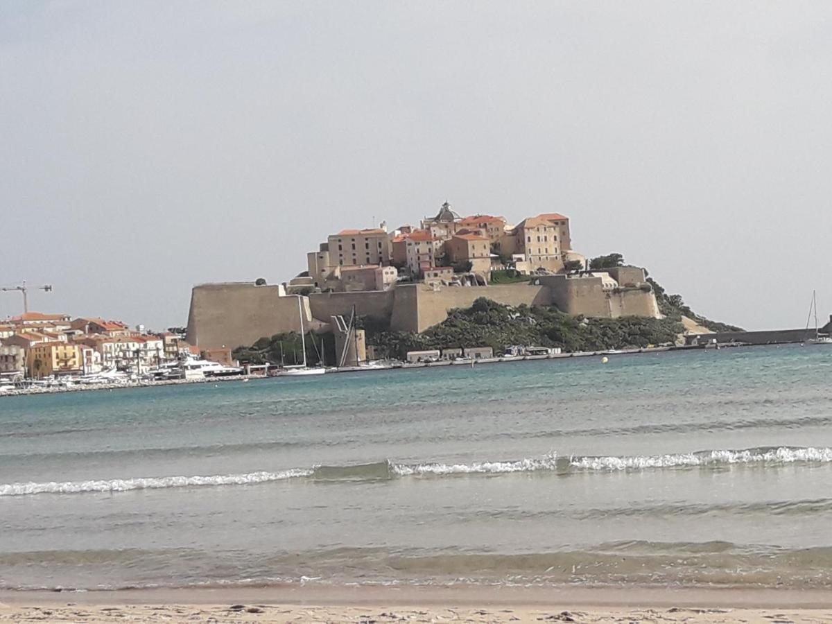 Appartement Caroline Calvi Direct *